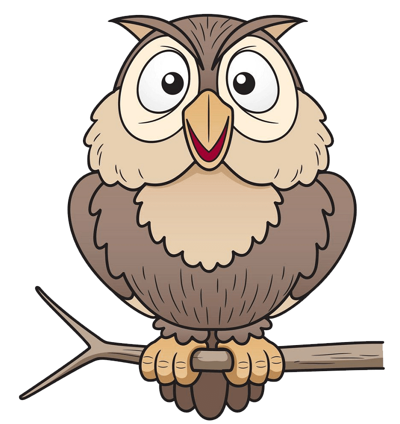 Owl on a Branch clipart transparent