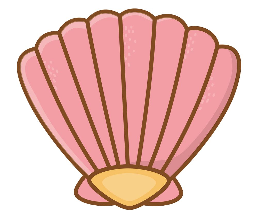 Pink seashell clipart transparent 1