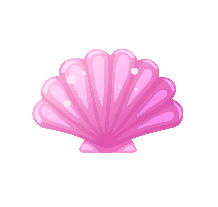 Pink seashell clipart transparent