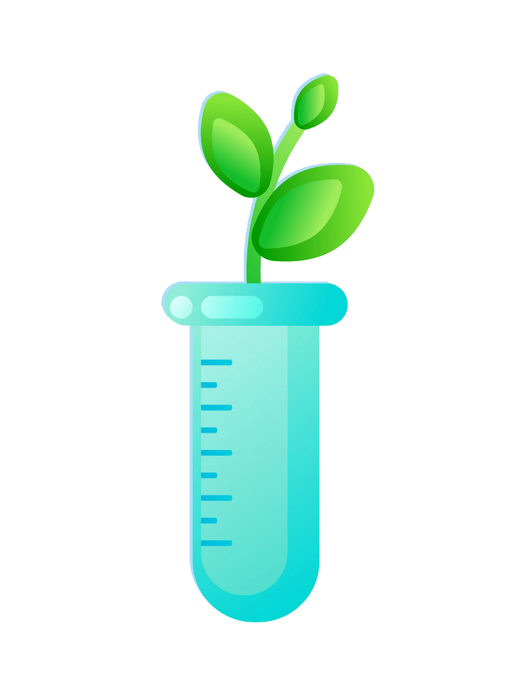 Plant in Test Tube clipart transparent