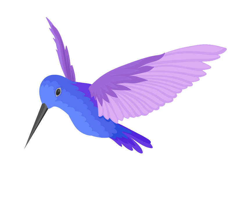 Purple Hummingbird clipart transparent