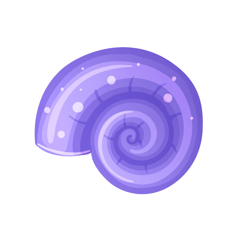 Purple seashell clipart transparent