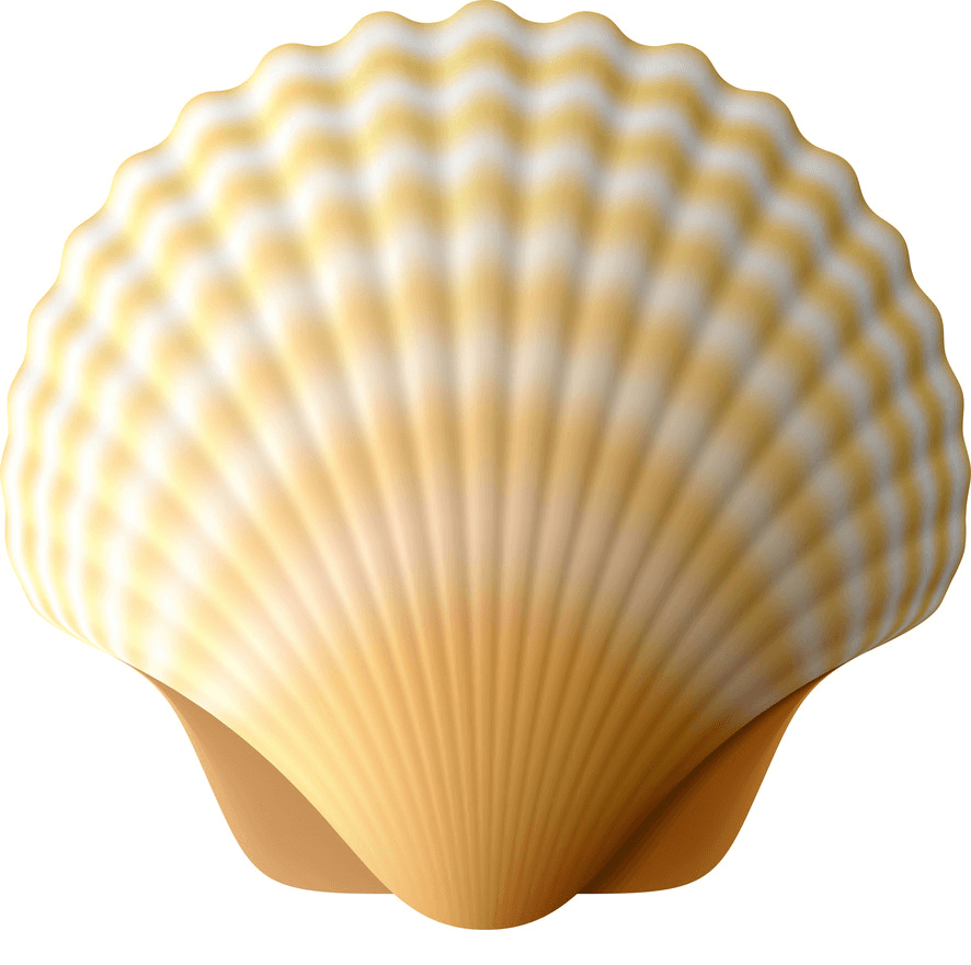 Realistic seashell clipart