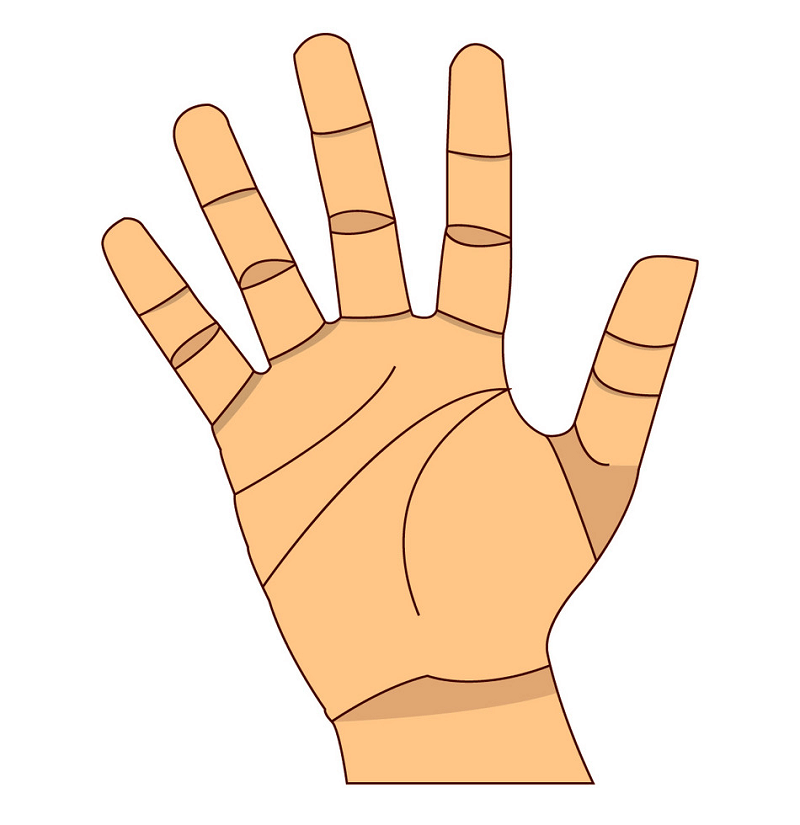 Right Hand clipart 2
