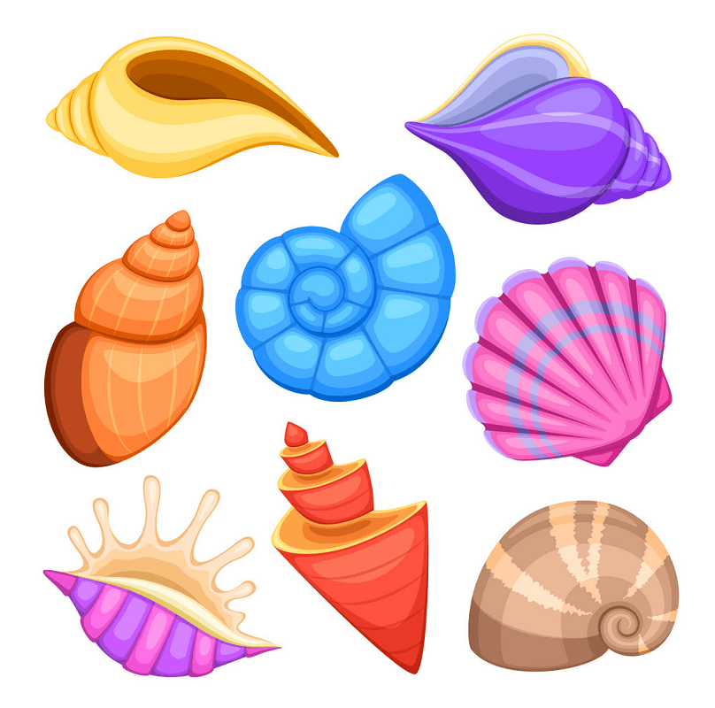 Seashell Clipart