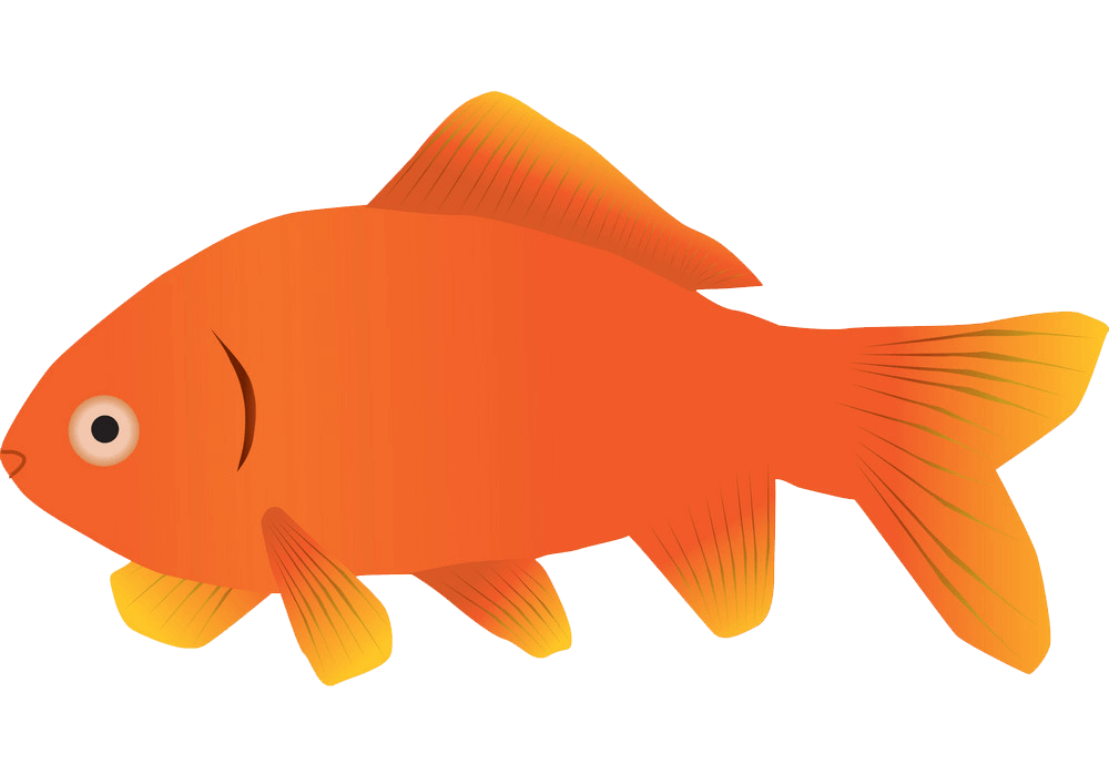 Simple Goldfish clipart transparent