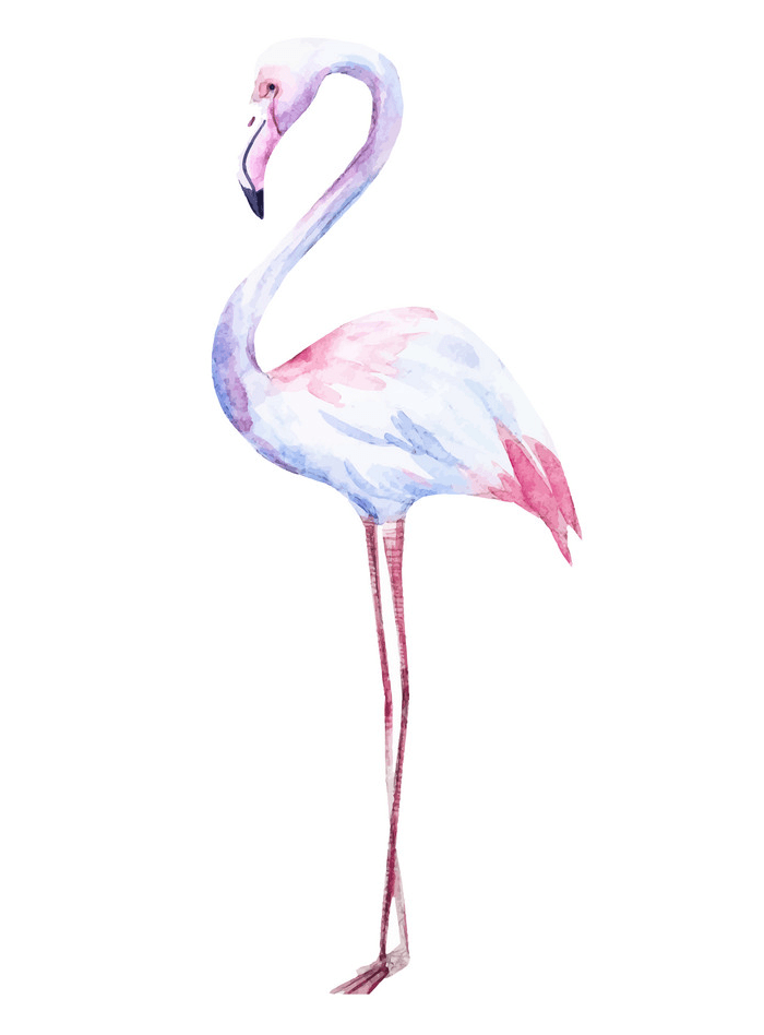 Watercolor Flamingo clipart
