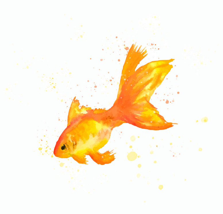 Watercolor Goldfish clipart