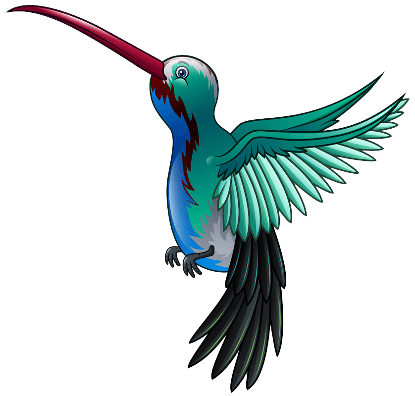 Wild Hummingbird clipart transparent