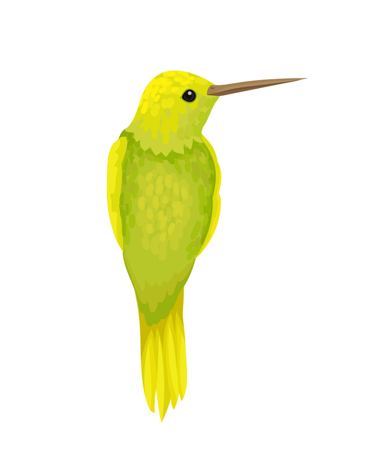 Yellow Hummingbird clipart