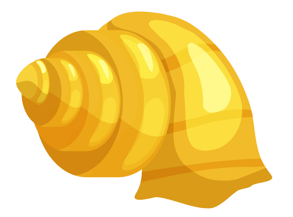 Yellow seashell clipart transparent