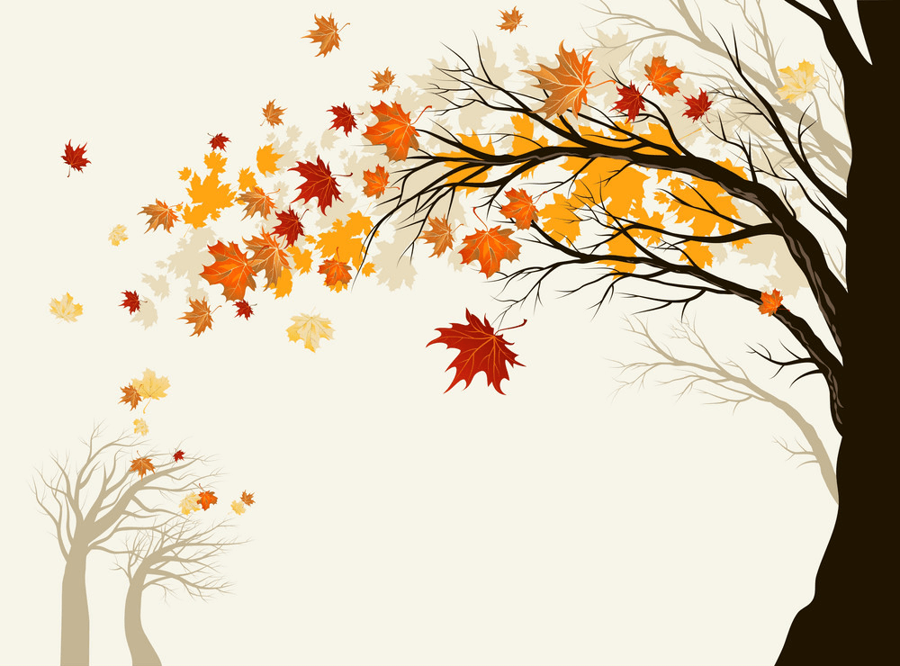 Autumn Tree clipart