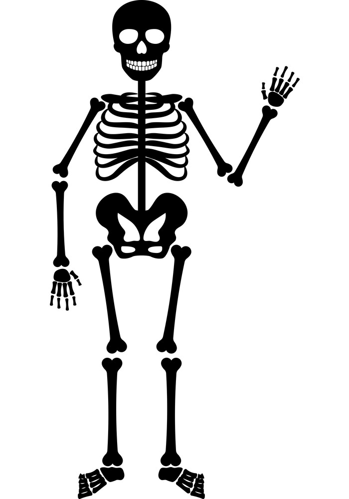 Halloween Skeleton clipart