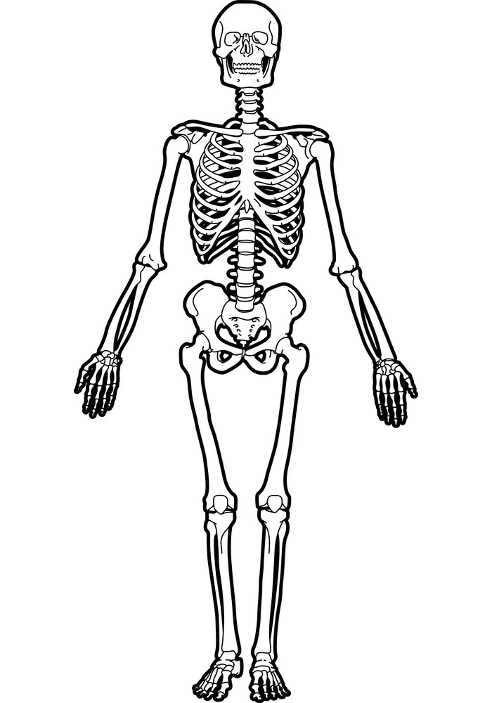 Skeleton clipart 1