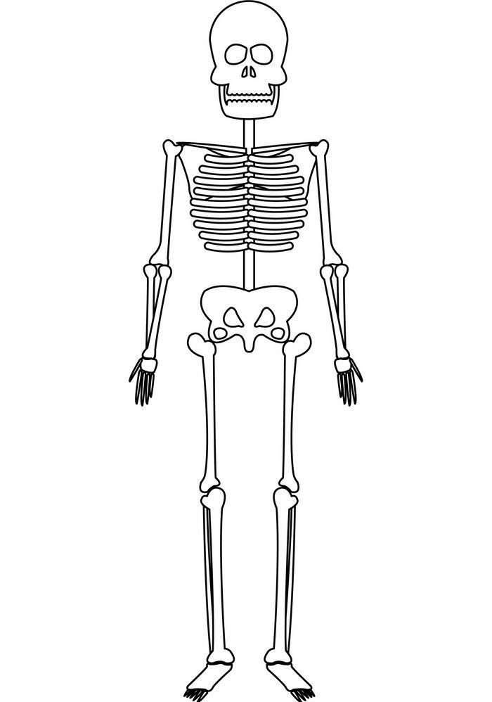 Skeleton clipart 10