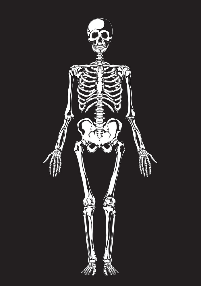 Skeleton clipart 3
