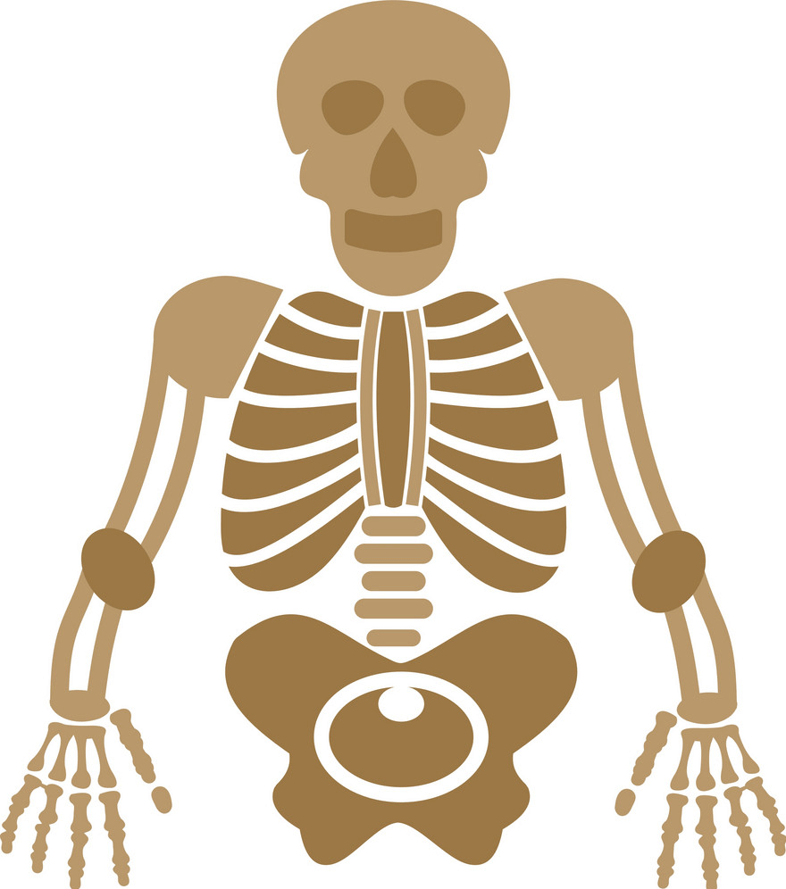 Skeleton clipart 4