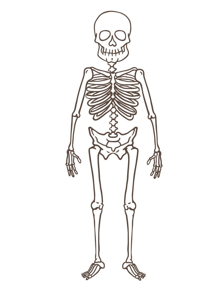 Skeleton clipart 9