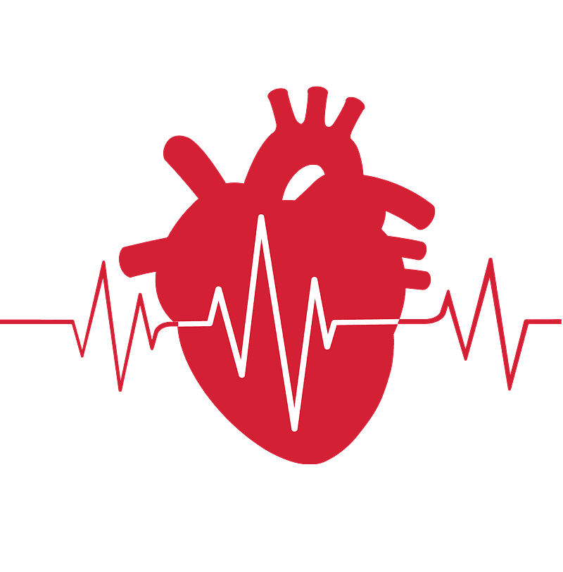 Heartbeat clipart 8