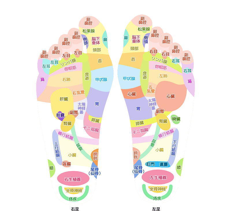 Acupuncture Feet clipart