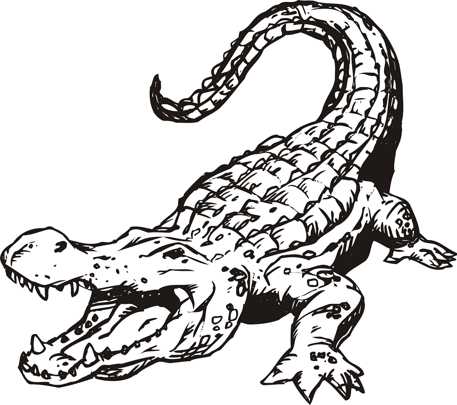 Alligator Clipart Black and White 2