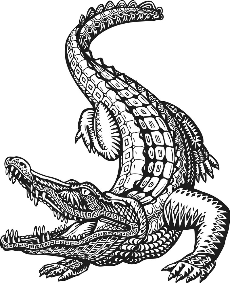 Alligator Clipart Black and White 4