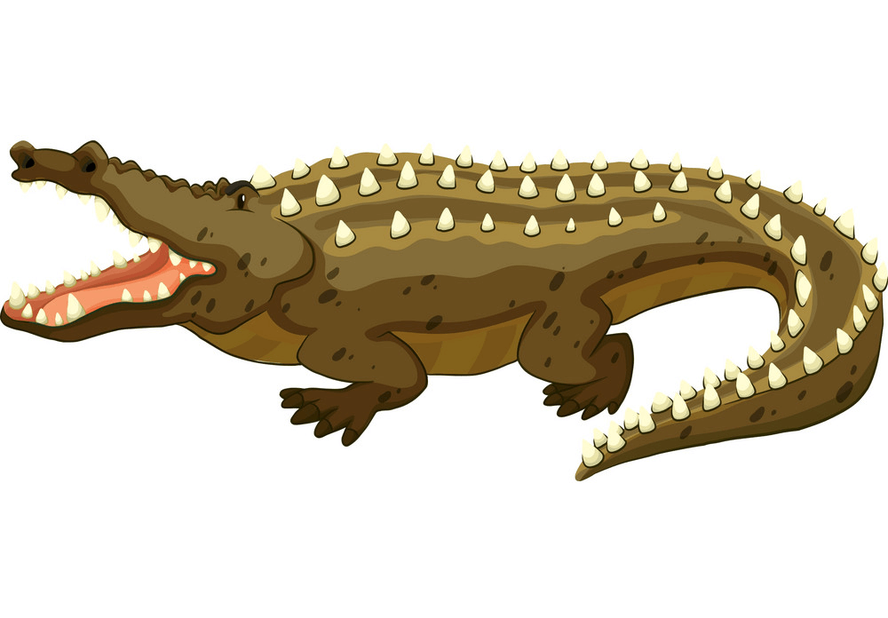 Alligator clipart 1