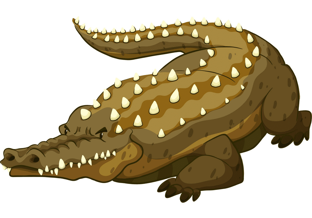 Alligator clipart 2