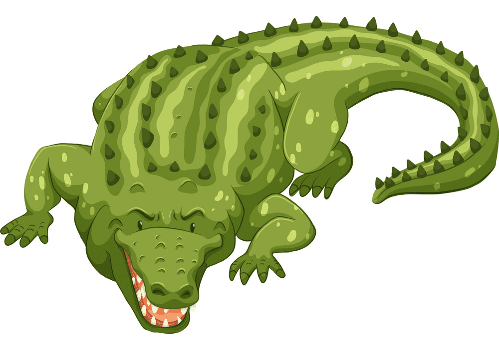 Alligator clipart 4