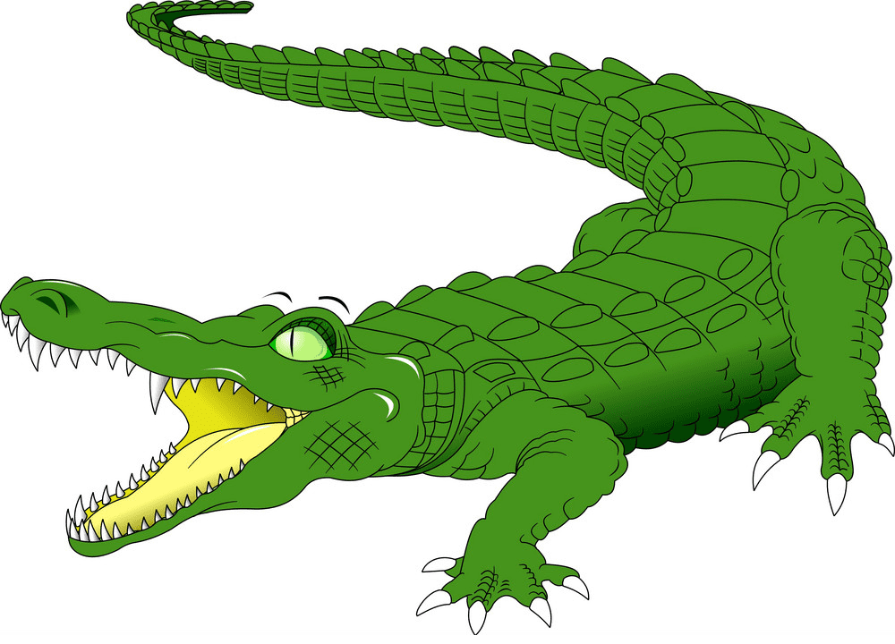 Alligator clipart 5