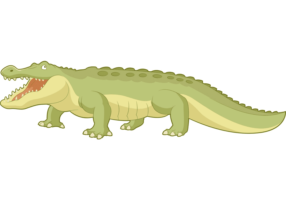 Alligator clipart 6