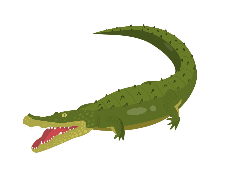 Alligator clipart 8