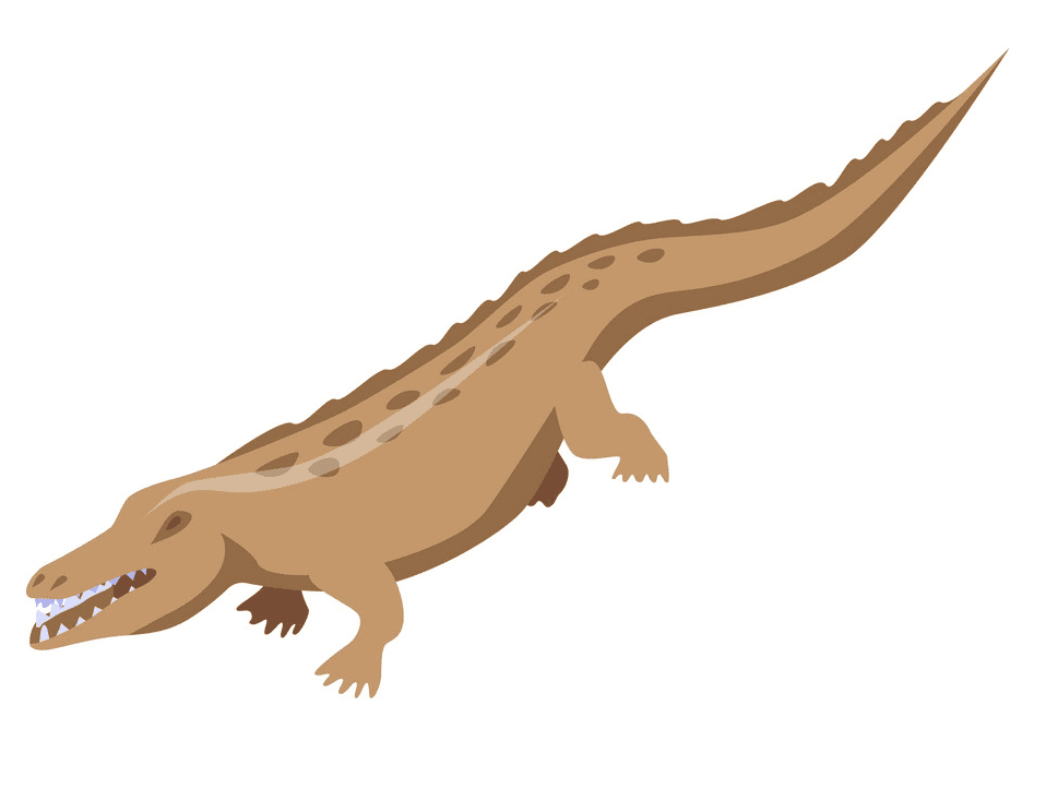 Alligator clipart free