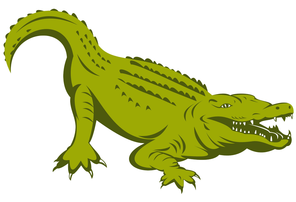 Alligator clipart transparent 1