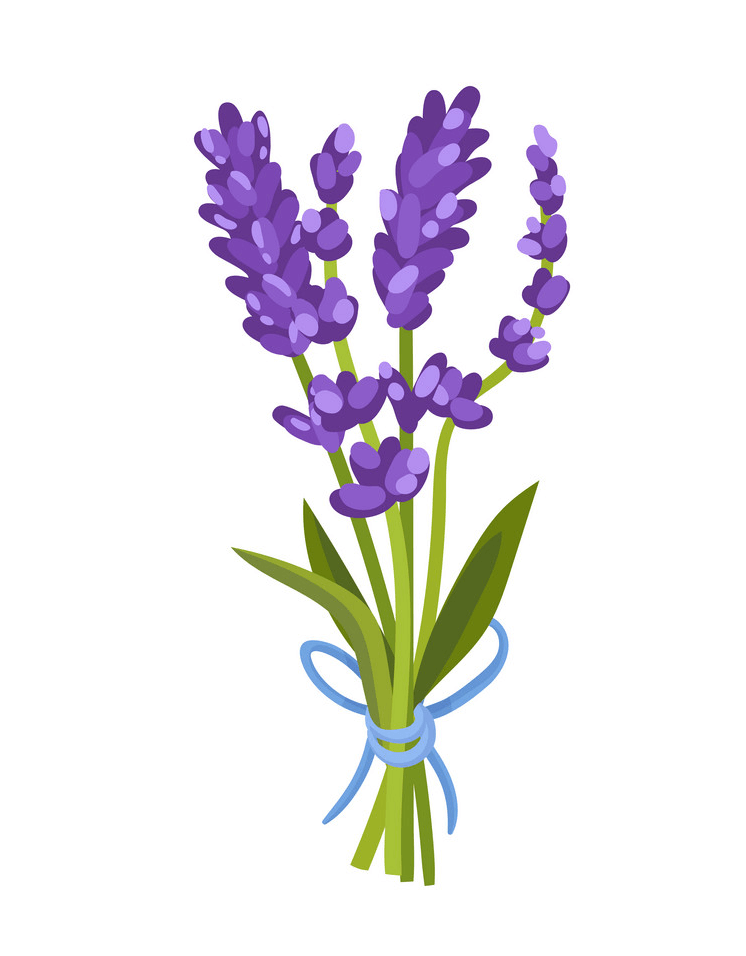 Bouquet Lavender clipart