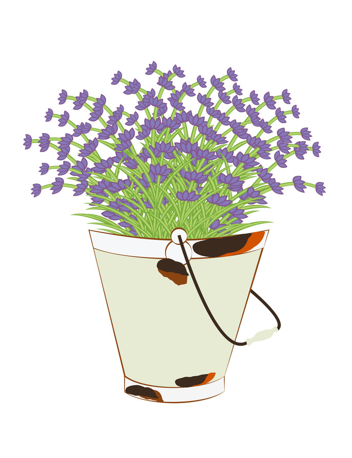 Bucket Lavender clipart