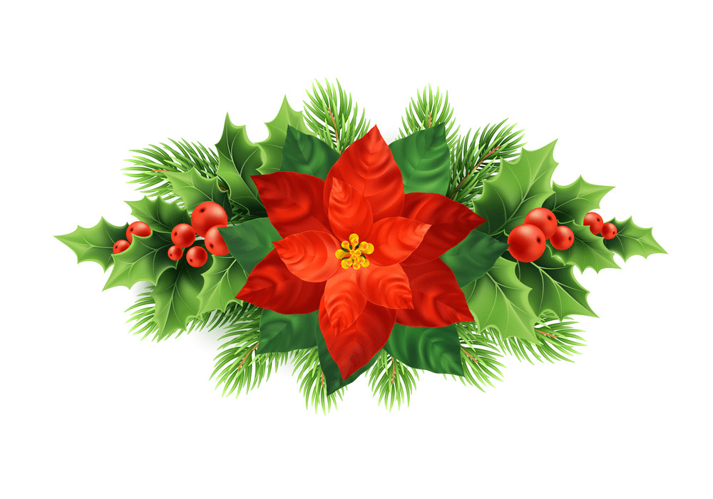 Christmas Poinsettia clipart free