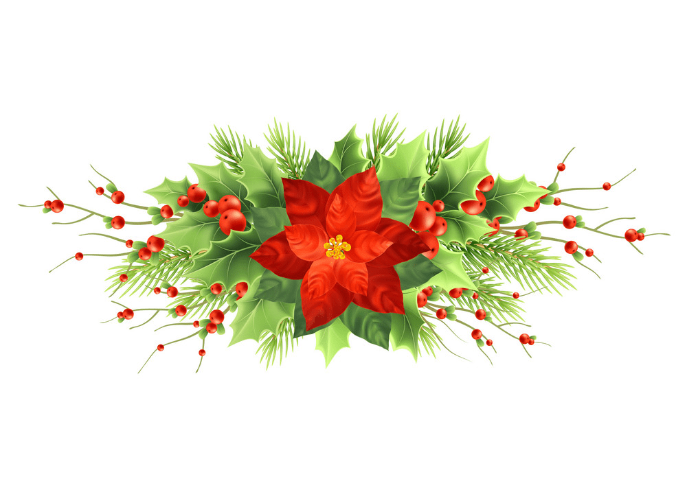 Christmas Poinsettia clipart png