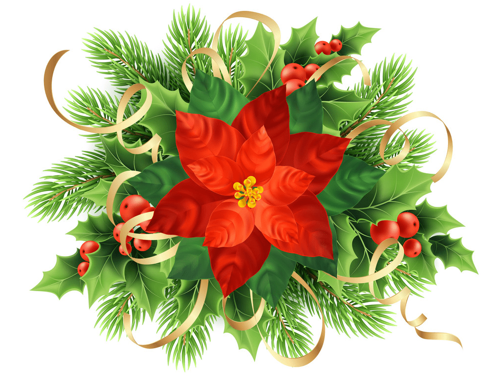 Christmas Poinsettia clipart