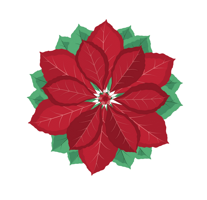 Clipart Poinsettia png