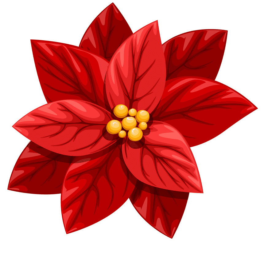 Clipart Red Poinsettia