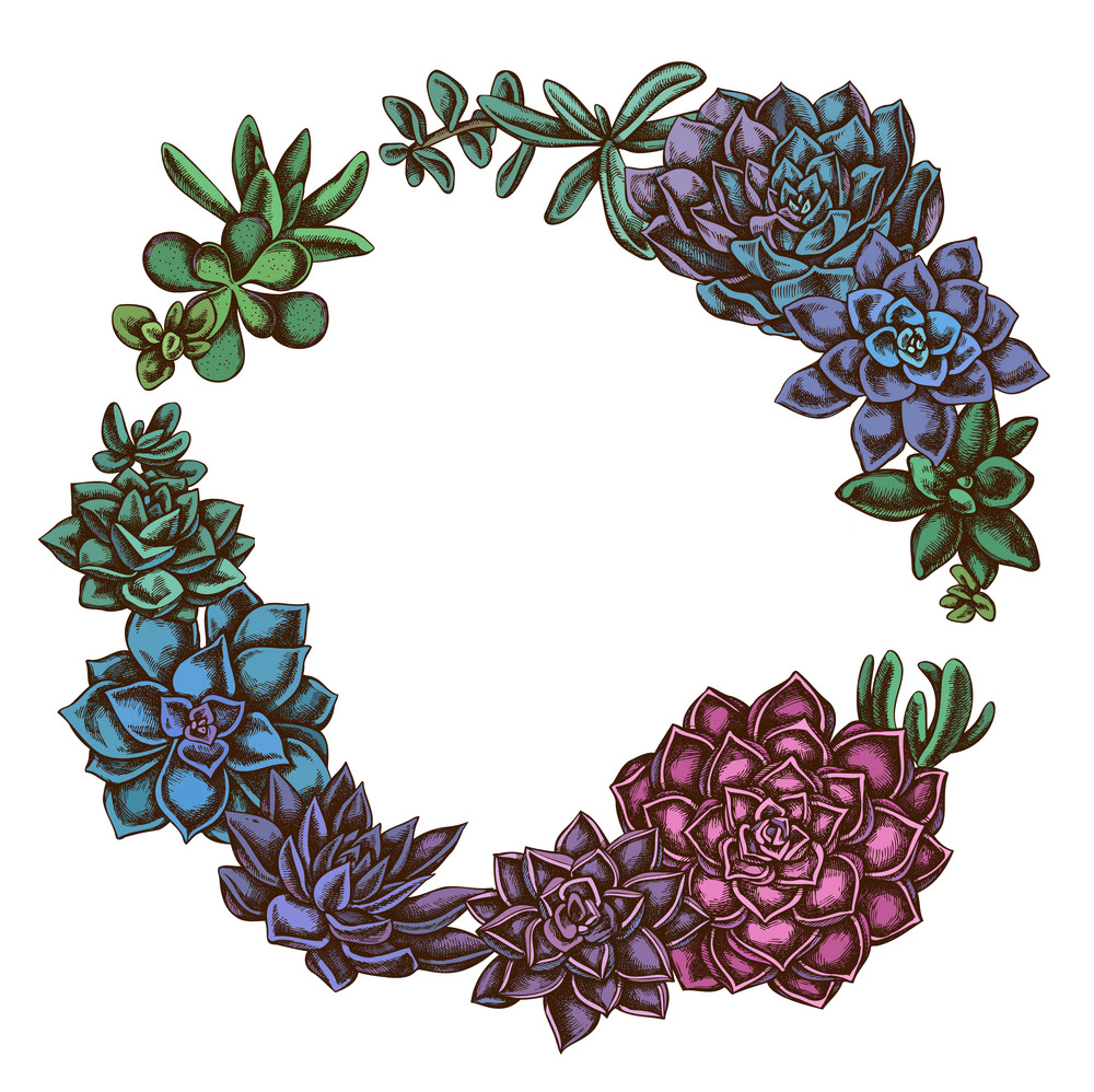 Download Succulent Wreath clipart