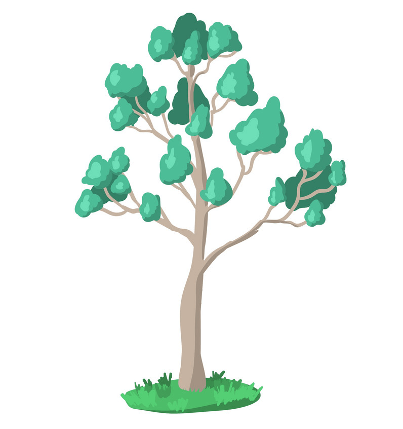 Eucalyptus Tree clipart