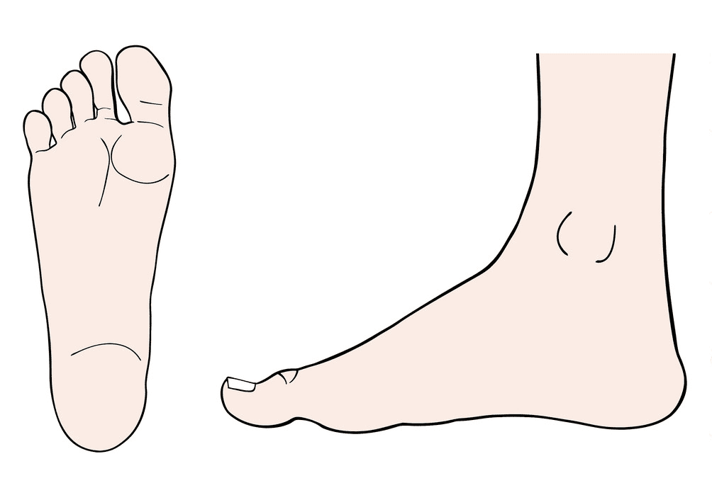 Feet clipart 14