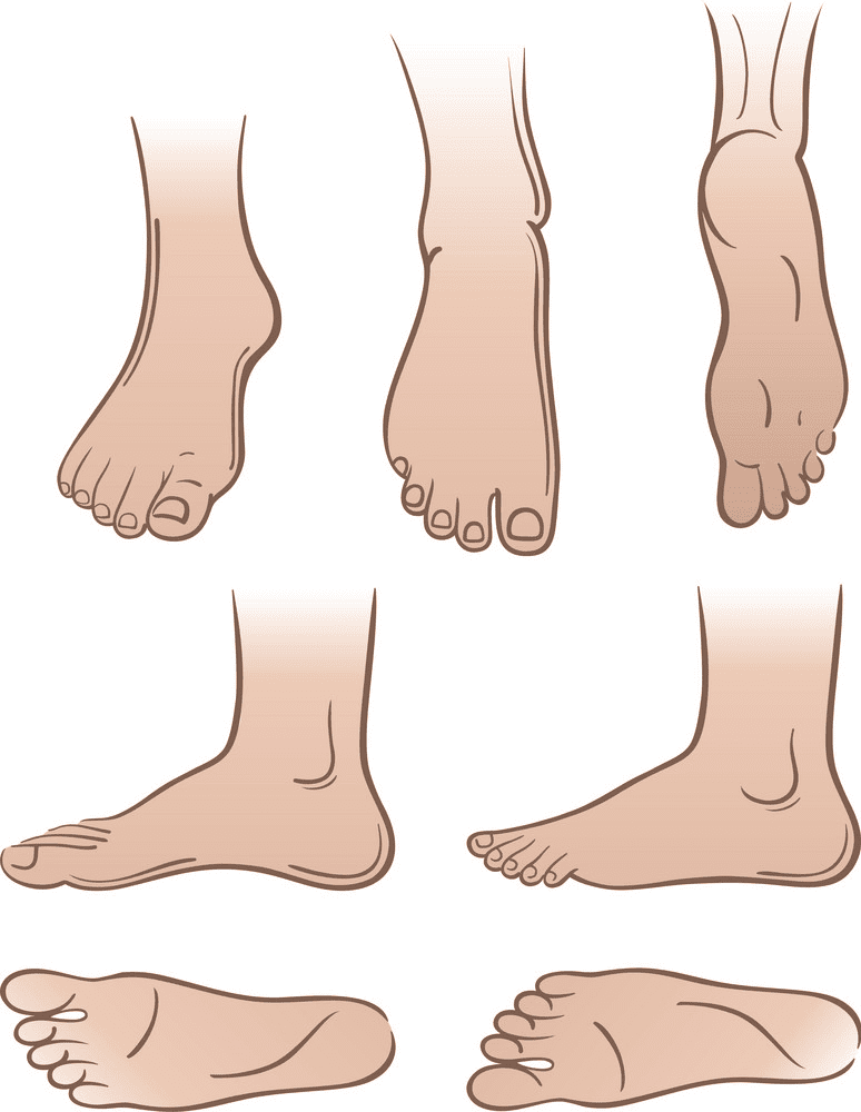 Feet clipart 15