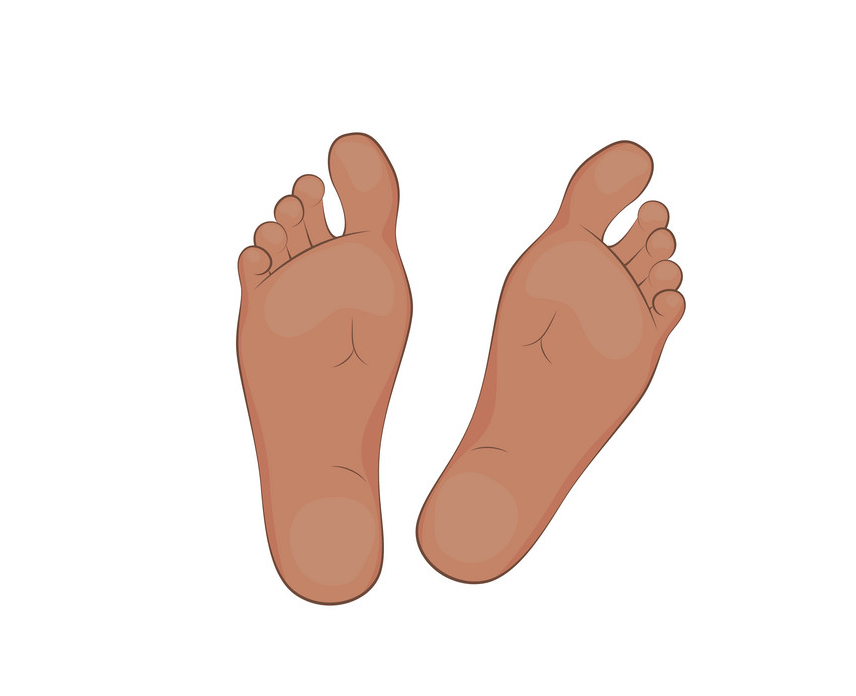 Feet clipart 3