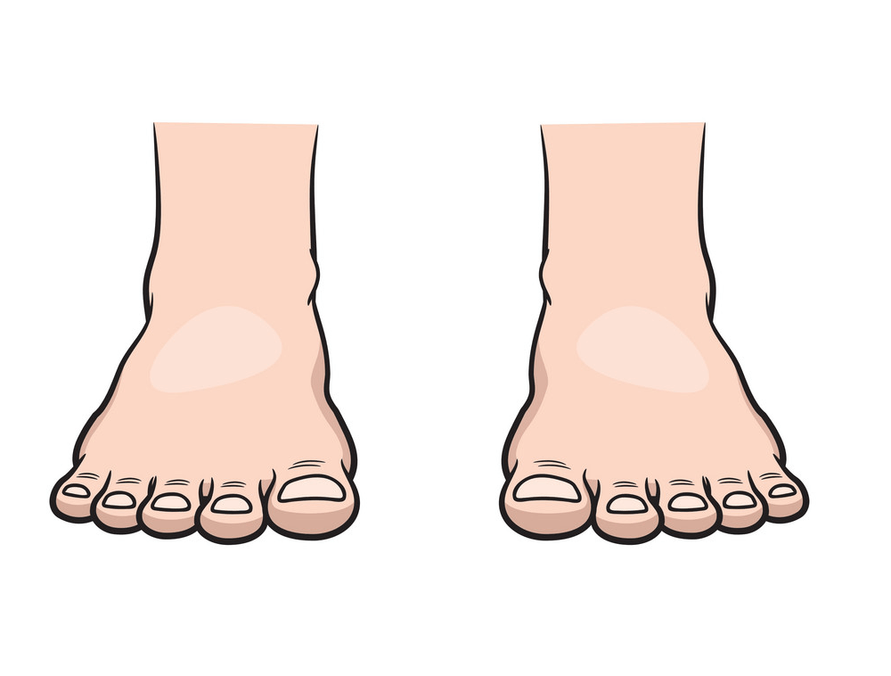 Feet clipart transparent 2