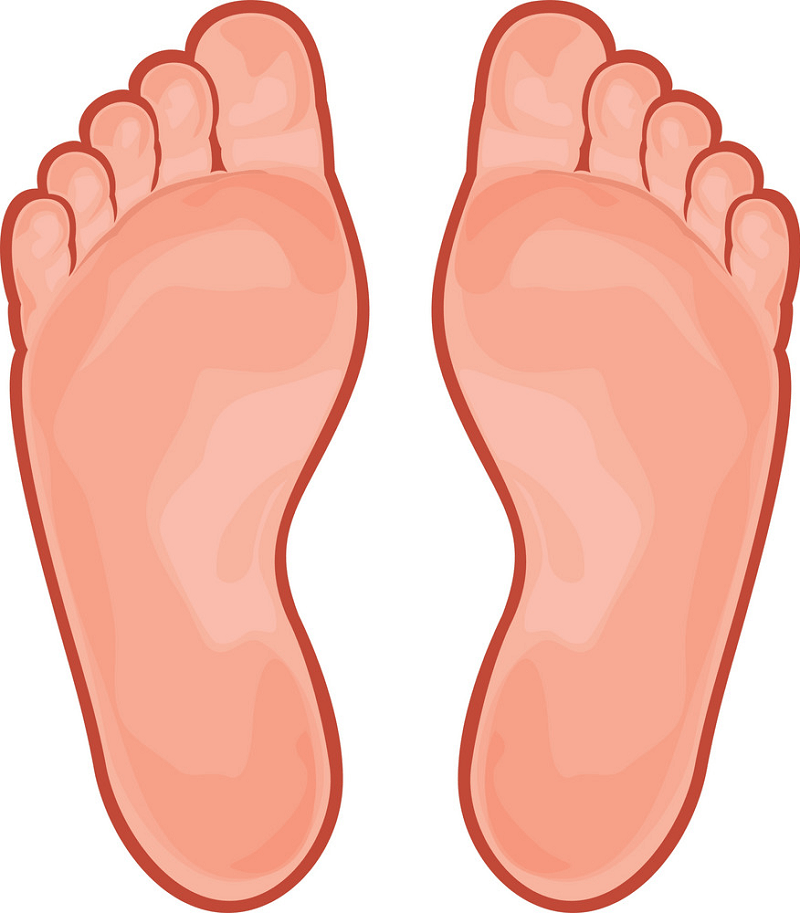 Feet clipart transparent background