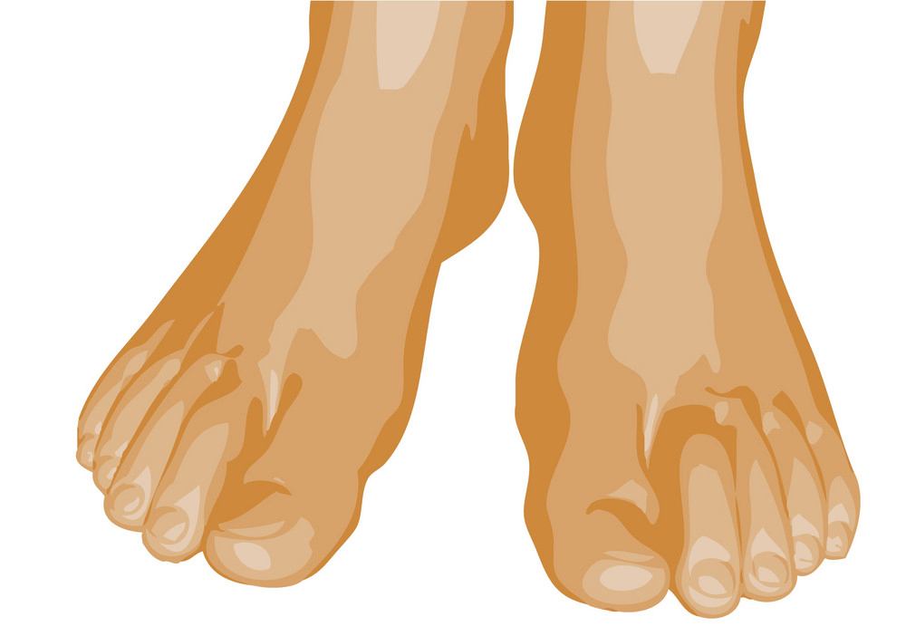 Feet clipart transparent