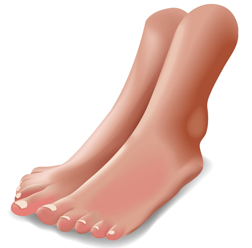 Female Feet clipart transparent